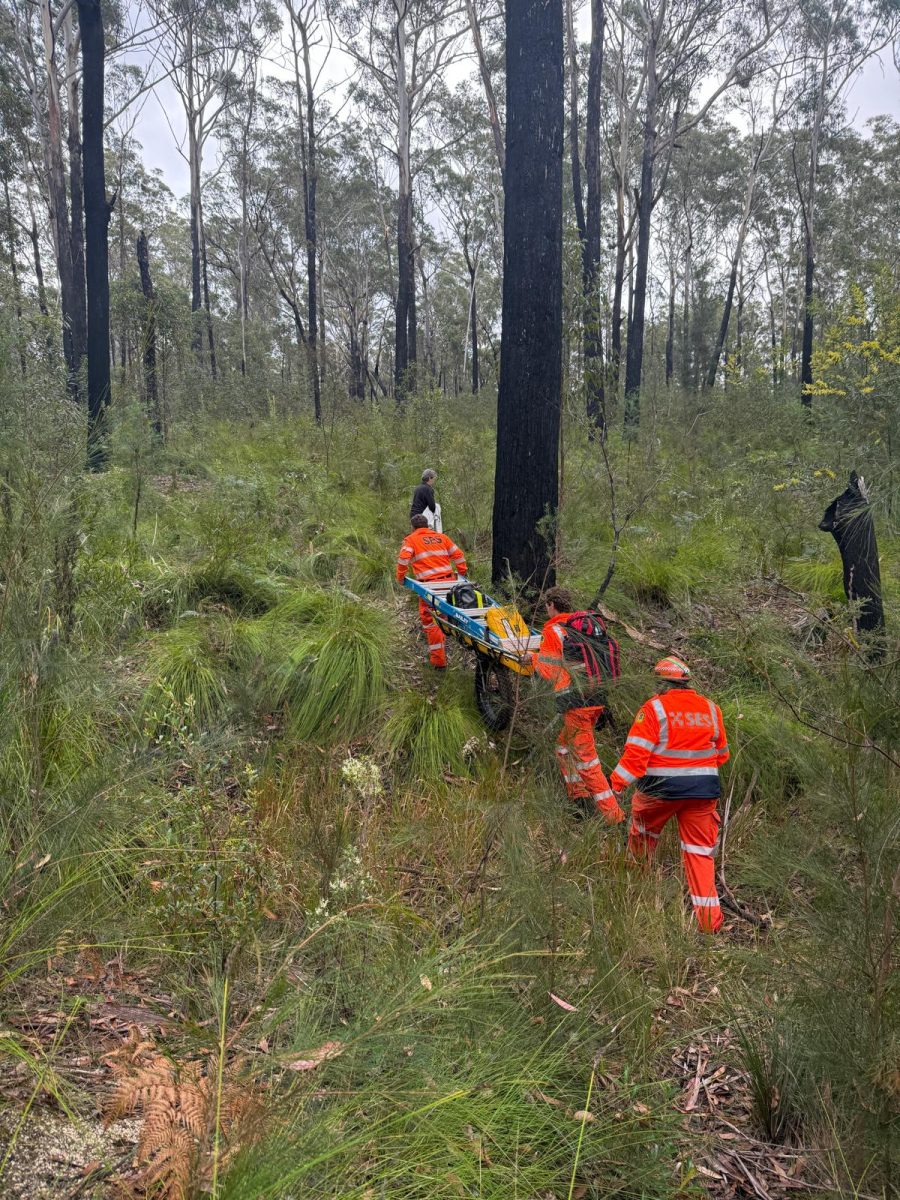 NSW SES volunteers carrying equipment through bushland