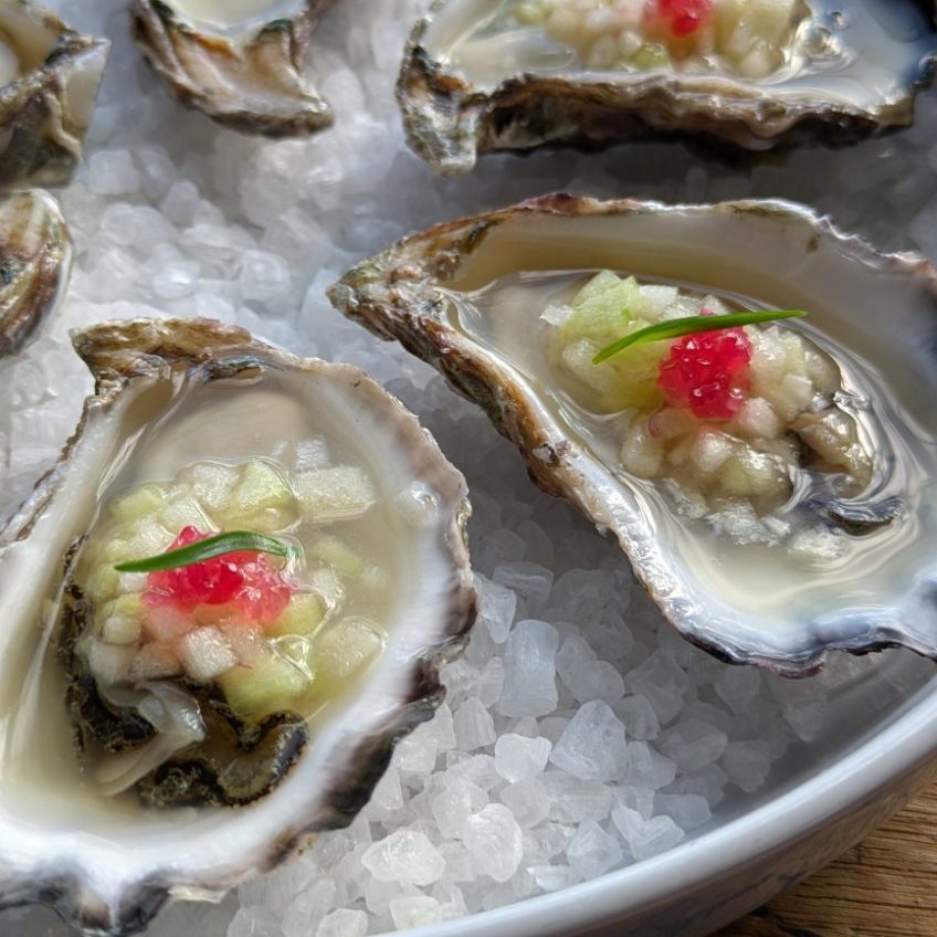 Oysters on rock salt with a fingerlime garnish