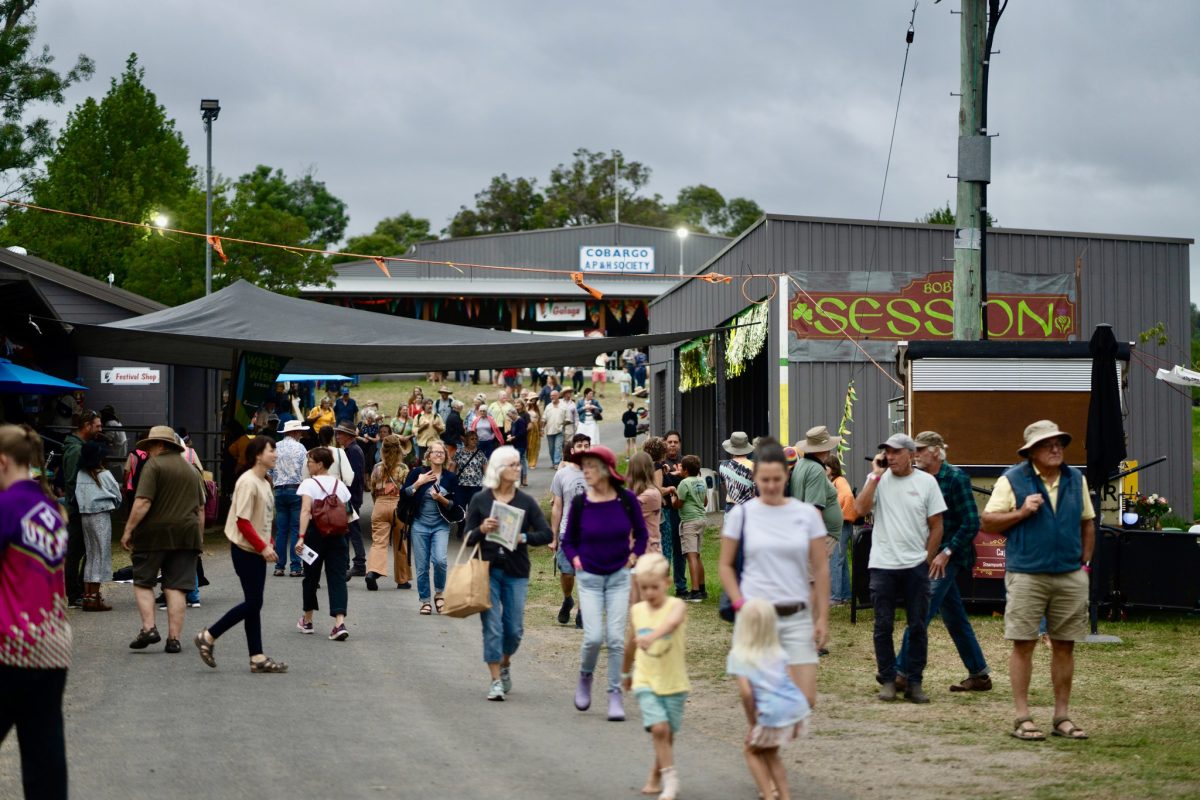 people at a festival