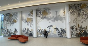 With the stroke of a brush: Eurobodalla residents invited to inspire new hospital's artwork