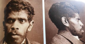Aunty Loretta Parsley's journey to tell the true history of outlaw Jimmy Governor
