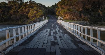 The Cuttagee Bridge survey results that council was keeping to itself