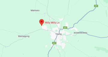 Passenger left with spinal injuries after car crash near Young