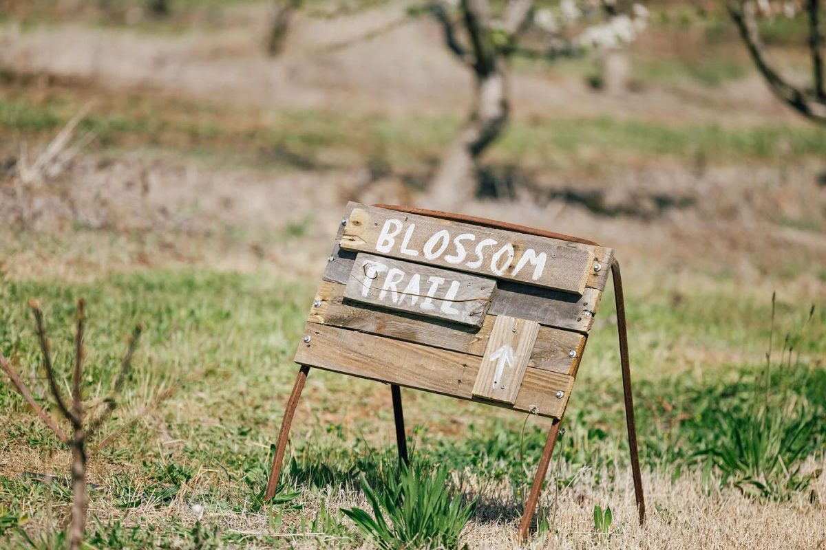 Spring festival sign