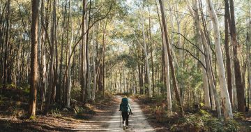 Explorers’ trail reimagined with launch of interactive Hume and Hovell trip planner