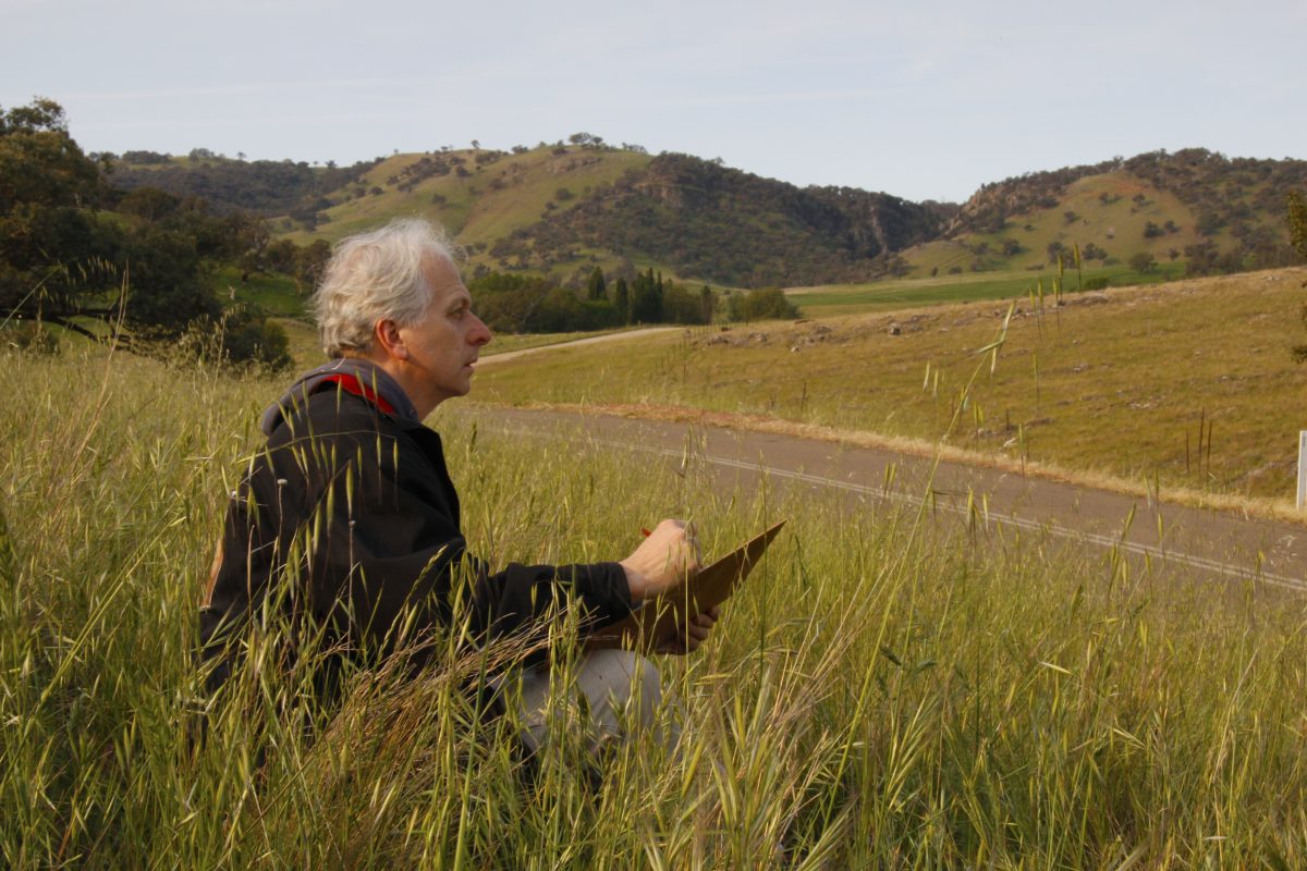 Grey haired man sketching paddock