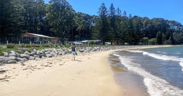 Work starts on rock wall to protect coastal homes, infrastructure from beach erosion