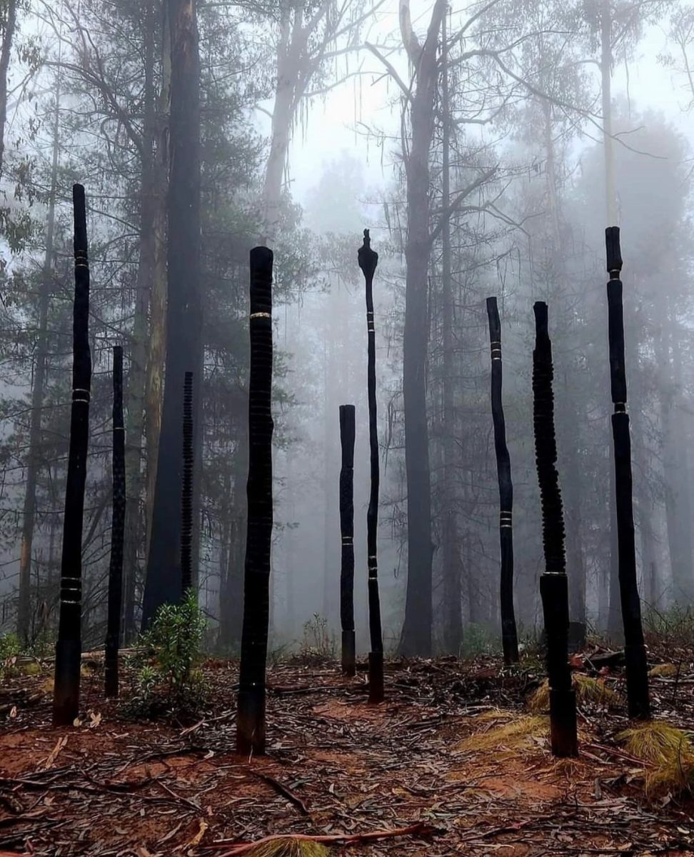 Clancy Warner's ‘The Cleansing’, Alpine Ash Walk Sculpture Forest, Snowy Valleys Sculpture Trail