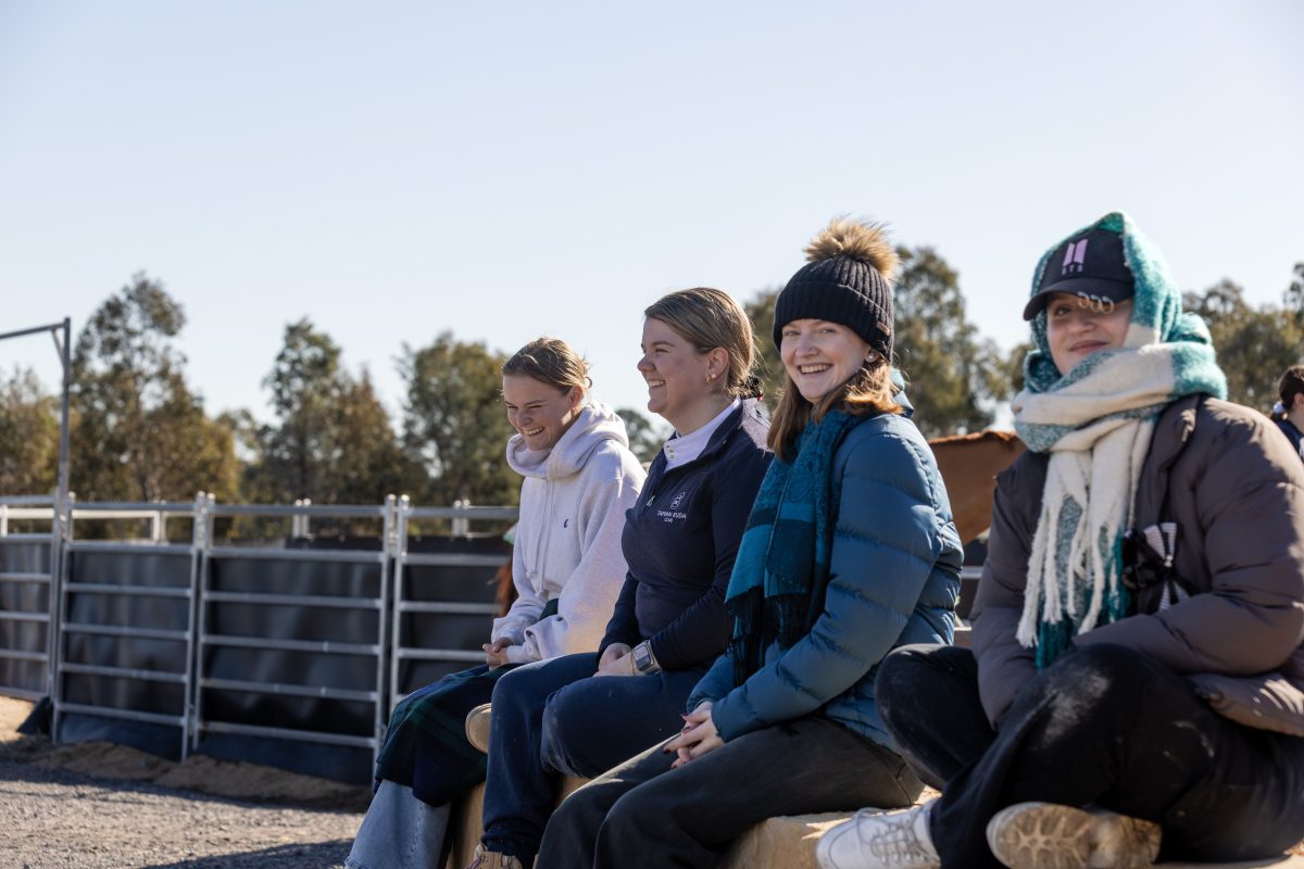 Four people sitting outside