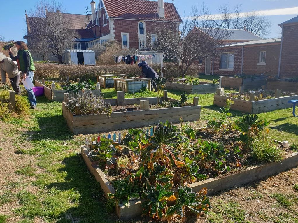 Community garden 