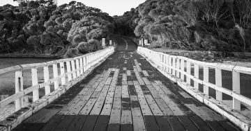 Troubled waters in Bermagui over Cuttagee Bridge design options