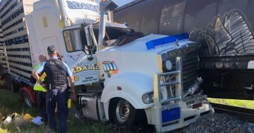 Train and stock truck collide at notorious Bribbaree level crossing