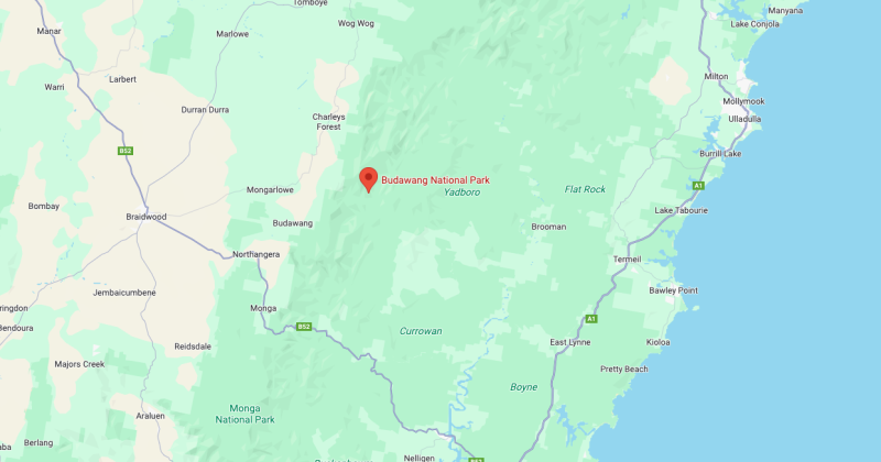Search continues for missing pilot as formal investigation launched into plane crash