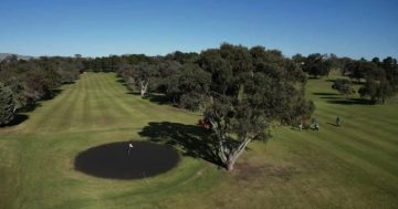 From racecourse to world stage: Binalong tees up for sand greens glory