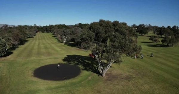 From racecourse to world stage: Binalong tees up for sand greens glory