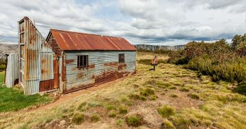 Plan to rent out popular national park campsites to businesses