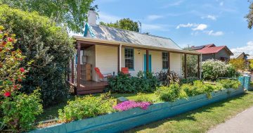 Renovated 1850s cottage in Braidwood is cute as a button