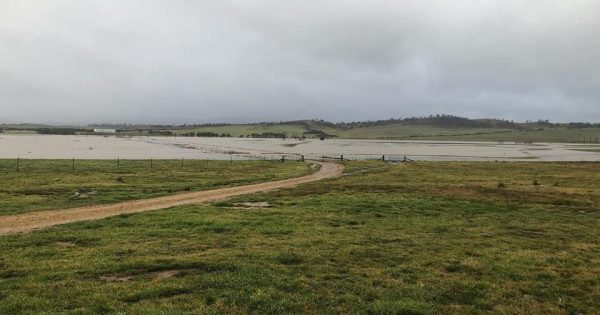 Flood warning system design revealed