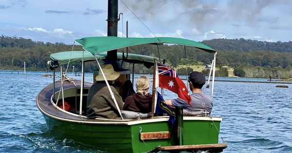 Things to do in the regions this week (31 October - 6 November)