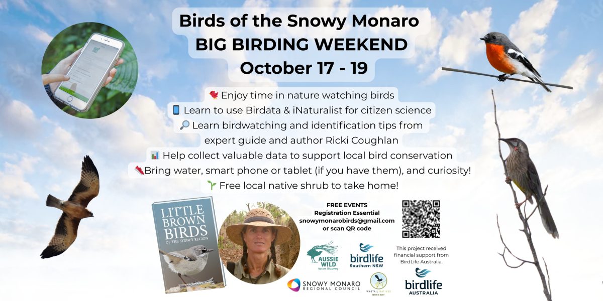Big Birding Weekend
