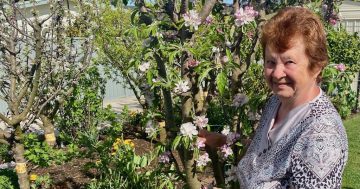 From Poland to Goulburn to create a food garden fit for Costa