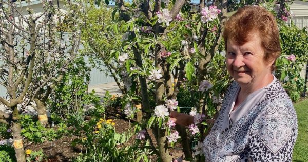 From Poland to Goulburn to create a food garden fit for Costa