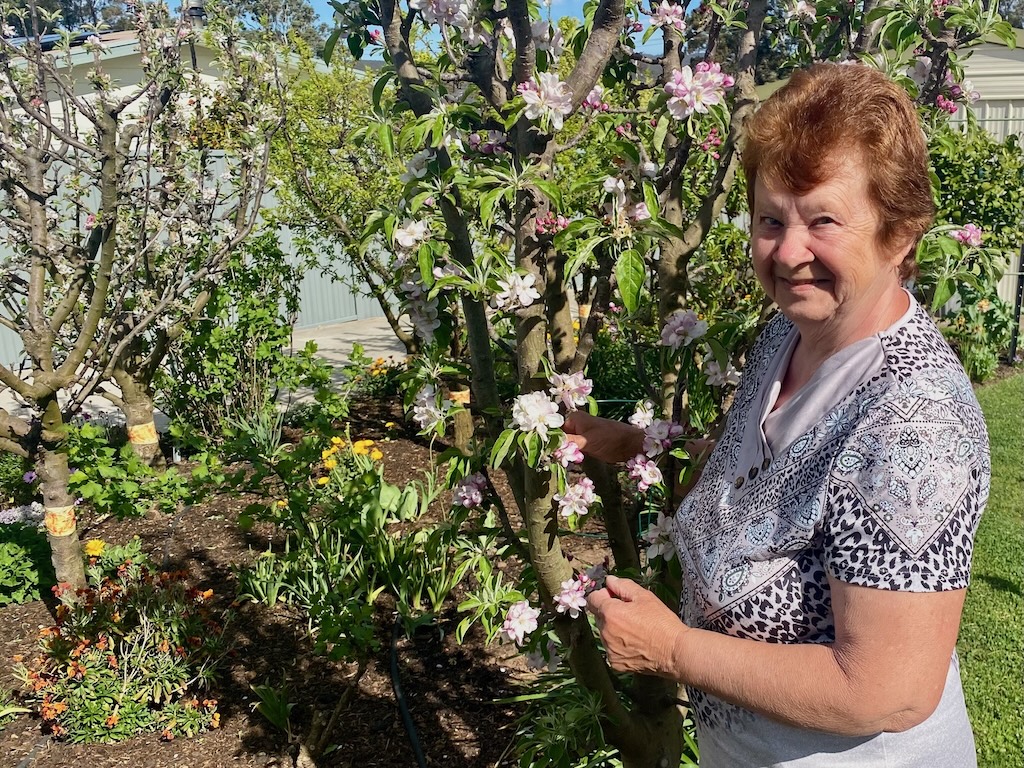 Bozena inspects her ballerina apple tree’s progress early in spring.