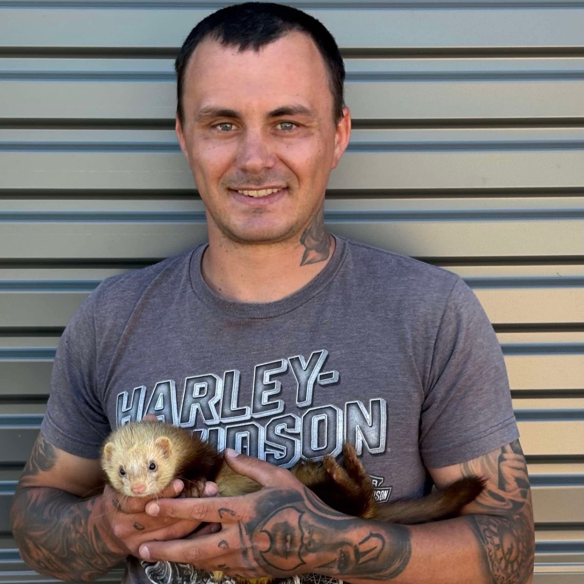 Ray Malone with the pick of his hunting ferrets, Search Warrant.