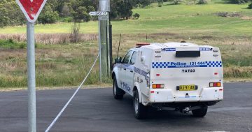 Police stage operation in Bega street amid investigations into alleged stabbing