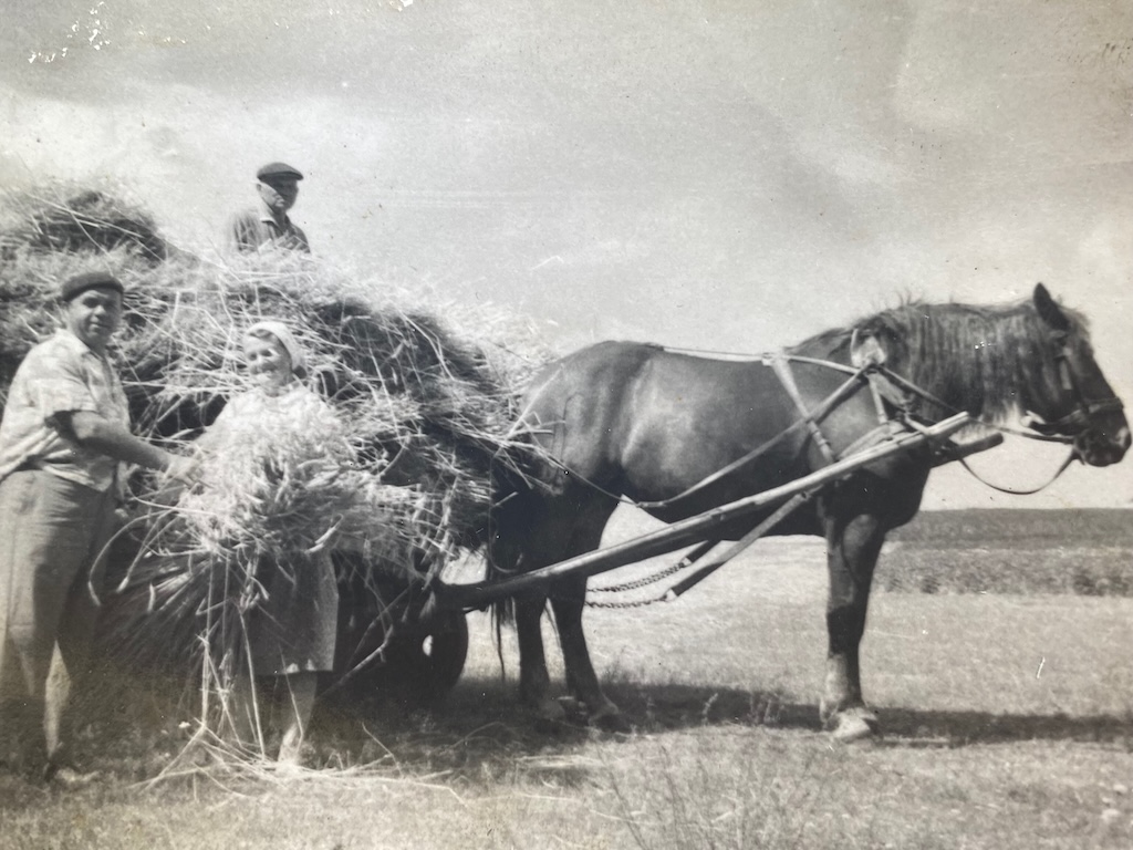 Bozena Peplowska’s brother Zdzislaw and her mother Antonina with a freshly cut crop, which her father Boleslaw is stacking on top of the cart. The photo was likely taken in the early 1970s.