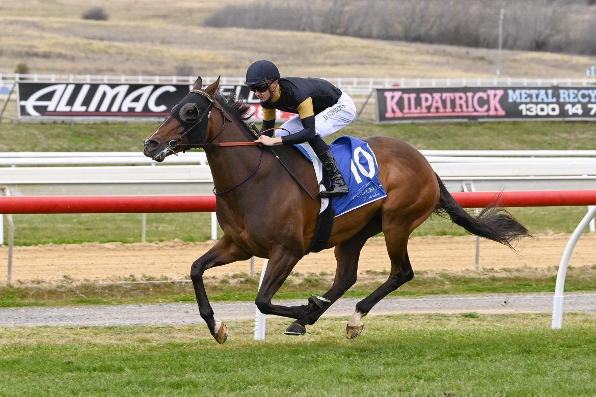 Don't miss out on the best to see and do in our weekly guide.