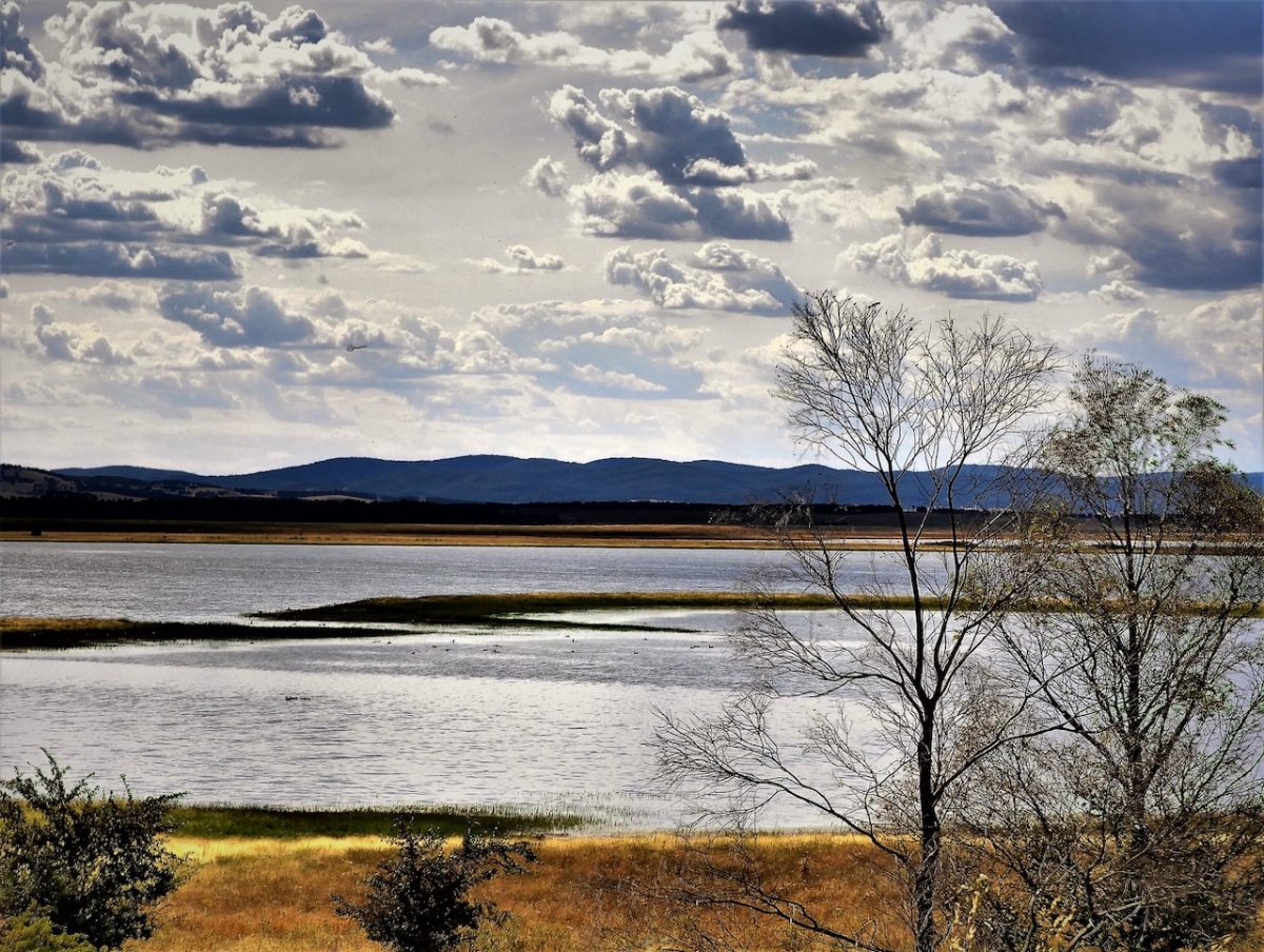 wetland