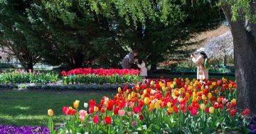 Are you on the frontlines of regional tourism? Change is afoot - have your say