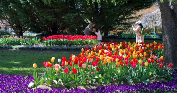 Are you on the frontlines of regional tourism? Change is afoot - have your say