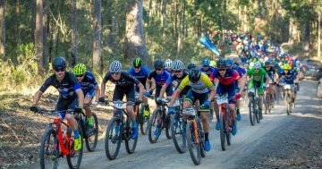 Things to do in the regions this week (17 – 23 October)