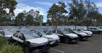 Could carparks save our waterparks? South Coast’s Jamberoo is about to find out