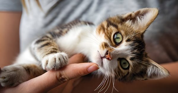 Gender affirmation leave? Pawternity leave? There's a fairer way to give employees time off from work