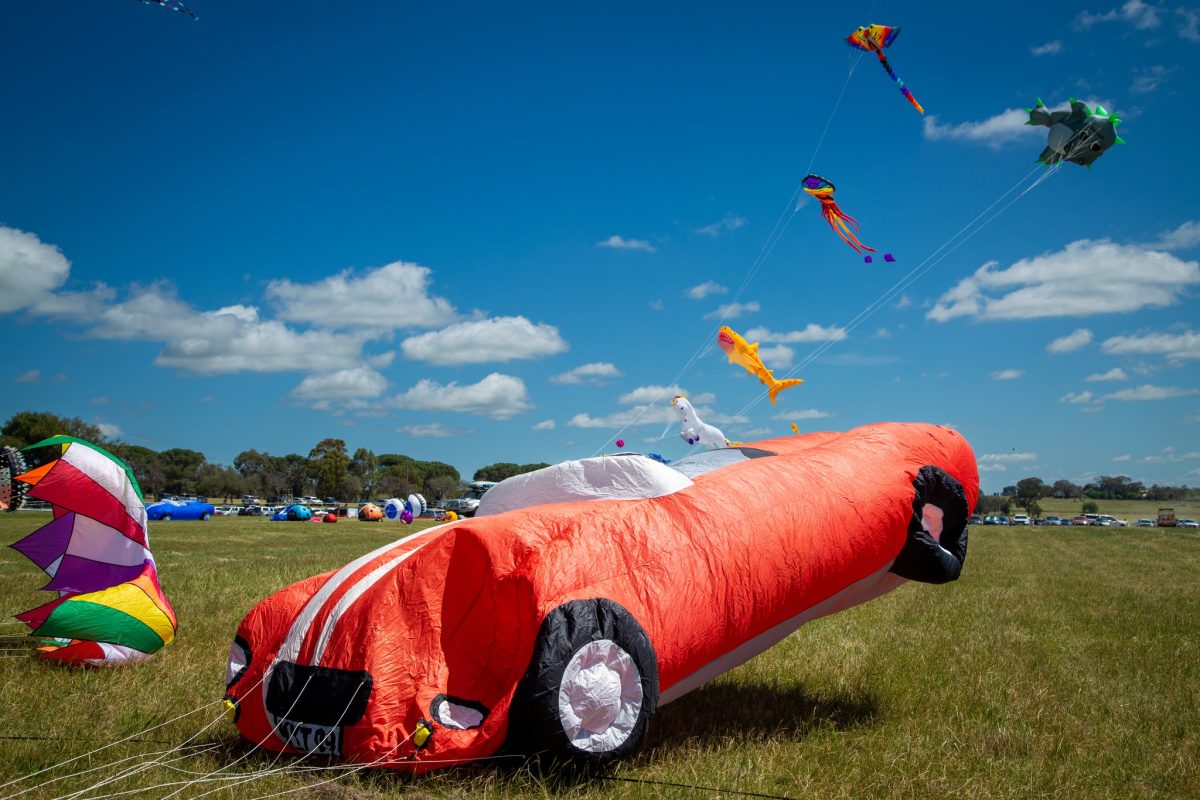 Harden Kite Festival