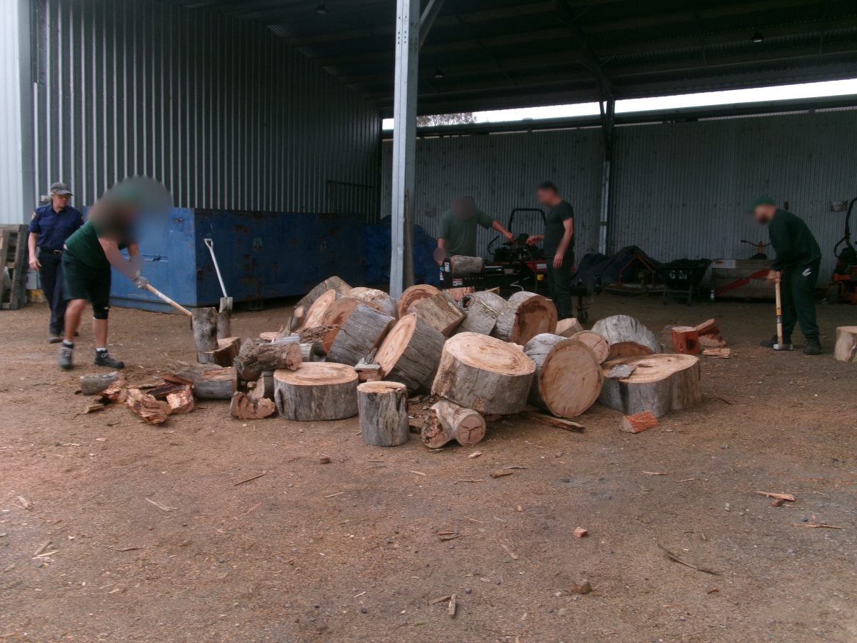 Mannus prison wood drive