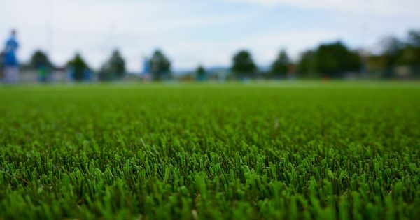 Why artificial grass might be banned in Queanbeyan