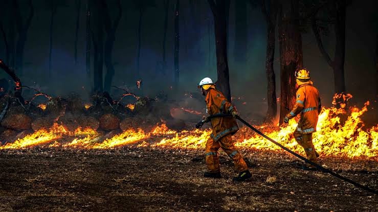 firefighters battling a blaze in the bush