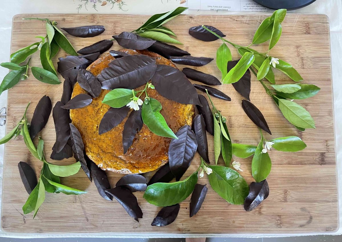 Second prize winner - Luke Hamilton's orange cake with chocolate forest floor