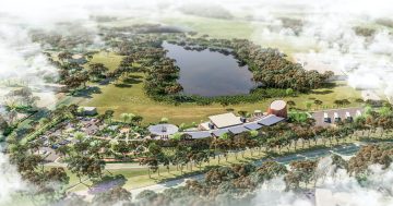 Bega's National Circularity Centre nails local brief, using Wallaga Lake Bridge wood