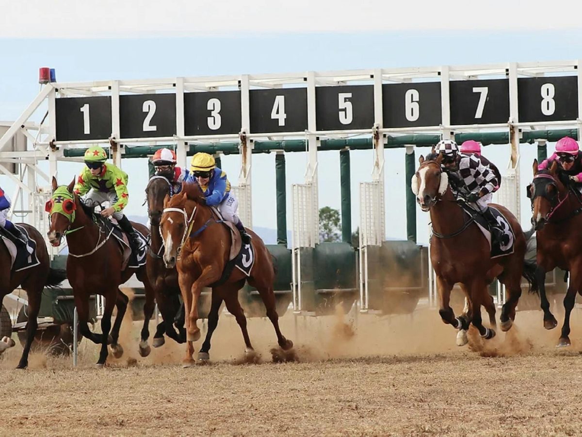 Cooma Sundowners Cup