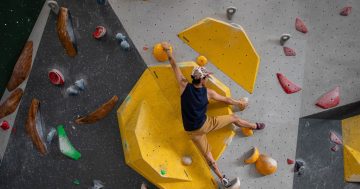 How a Bega father's business plan is scaling new heights