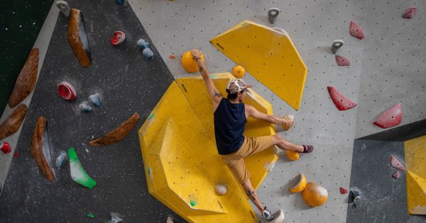 How a Bega father's business plan is scaling new heights