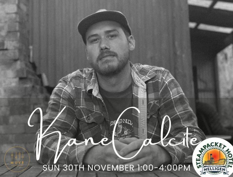 singer on a concert promo poster 