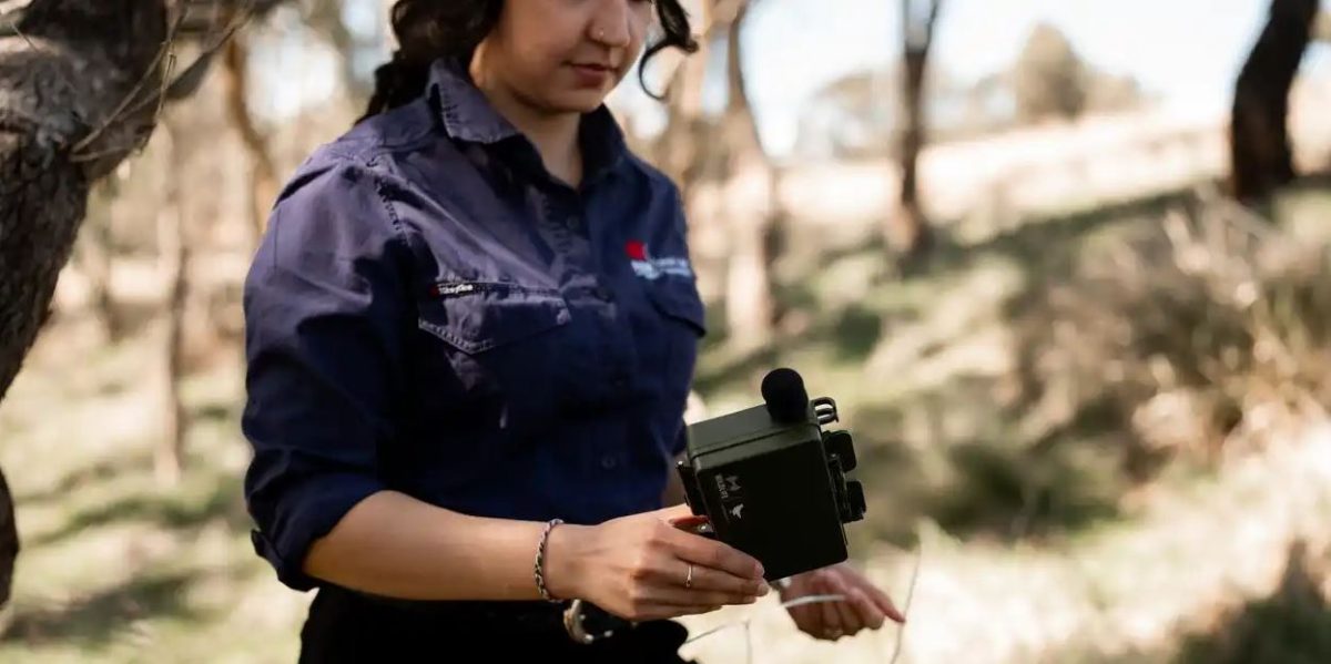 woman with wildlife monitoring equipment