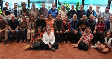 NSW Aboriginal groups form alliance to manage the ocean, fix sea urchin crisis