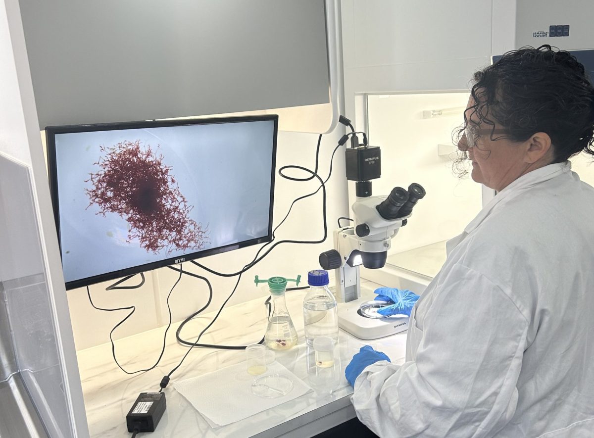 woman examining seaweed on a monitor